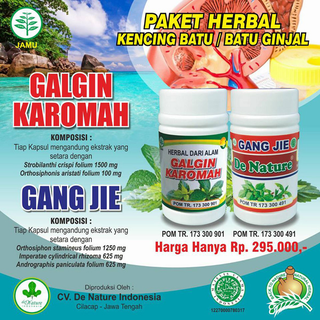 Illustration for article titled Obat Pasca Operasi Batu Ginjal